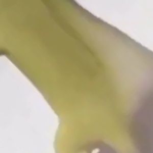 Meet your Posher, Carson